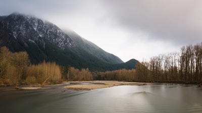 白天，在白云下的水体和山体附近有棕色叶子的树木